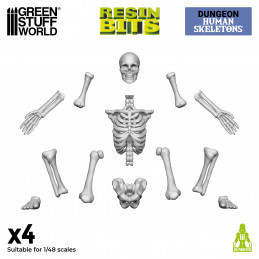 Resin Human Skeletons 1:48