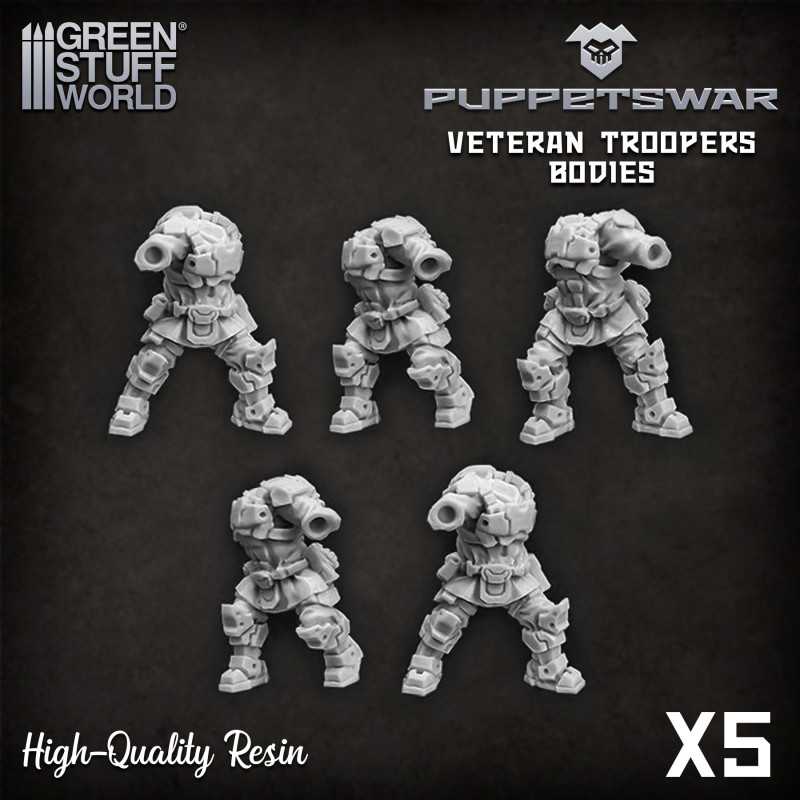 Veteran Troopers Bodies | Resin items