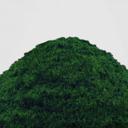 Herbe Statique 2-3mm- DEEP GREEN MEADOW - 200ml